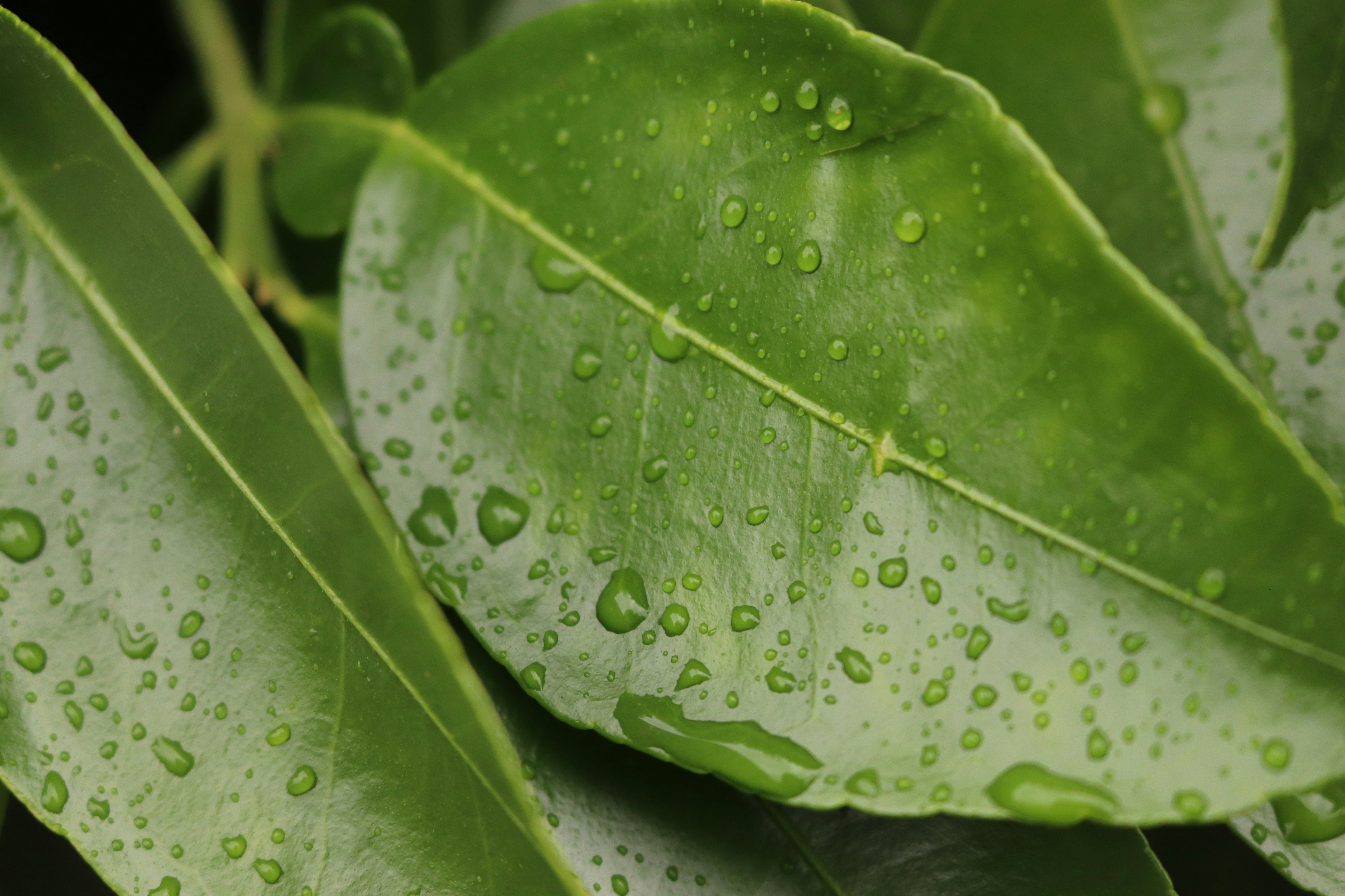 Photo by tildafoletta