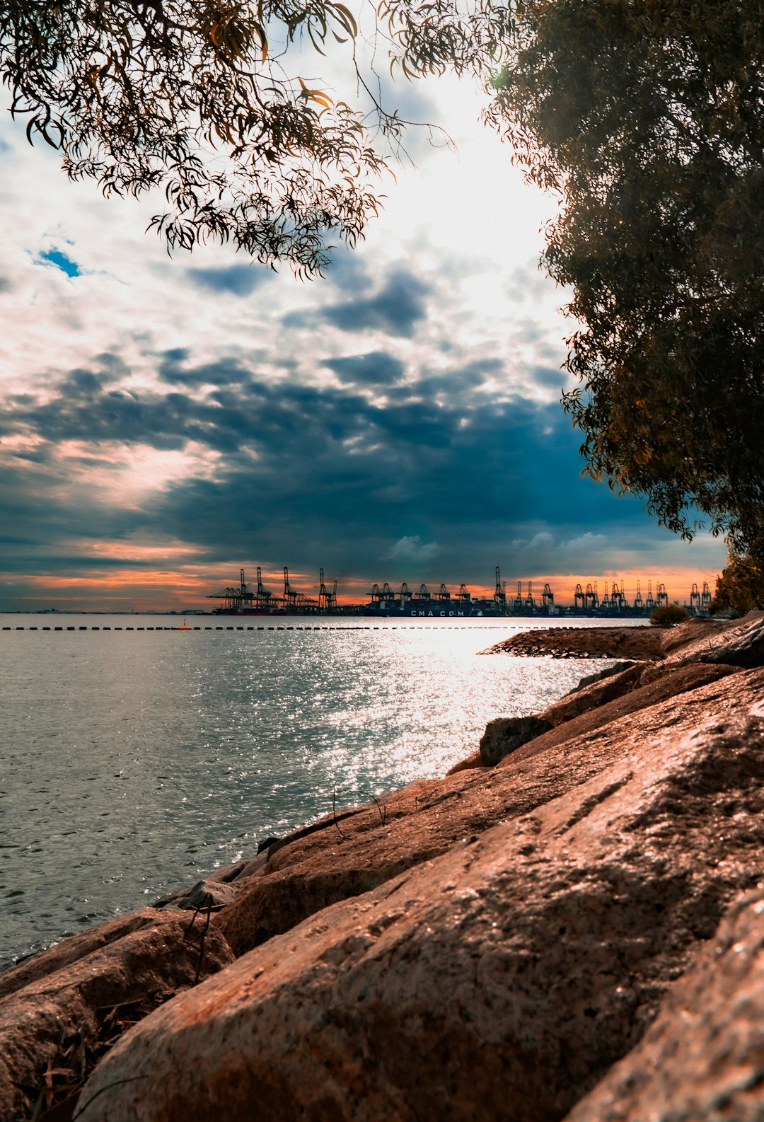 Shore photo spot Sentosa Sembawang Park