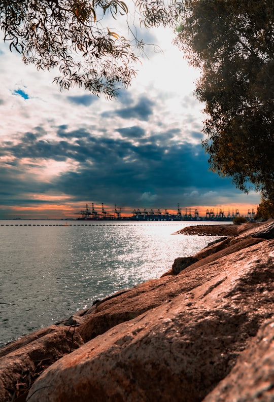 body of water near bridge during night time in Sentosa Singapore