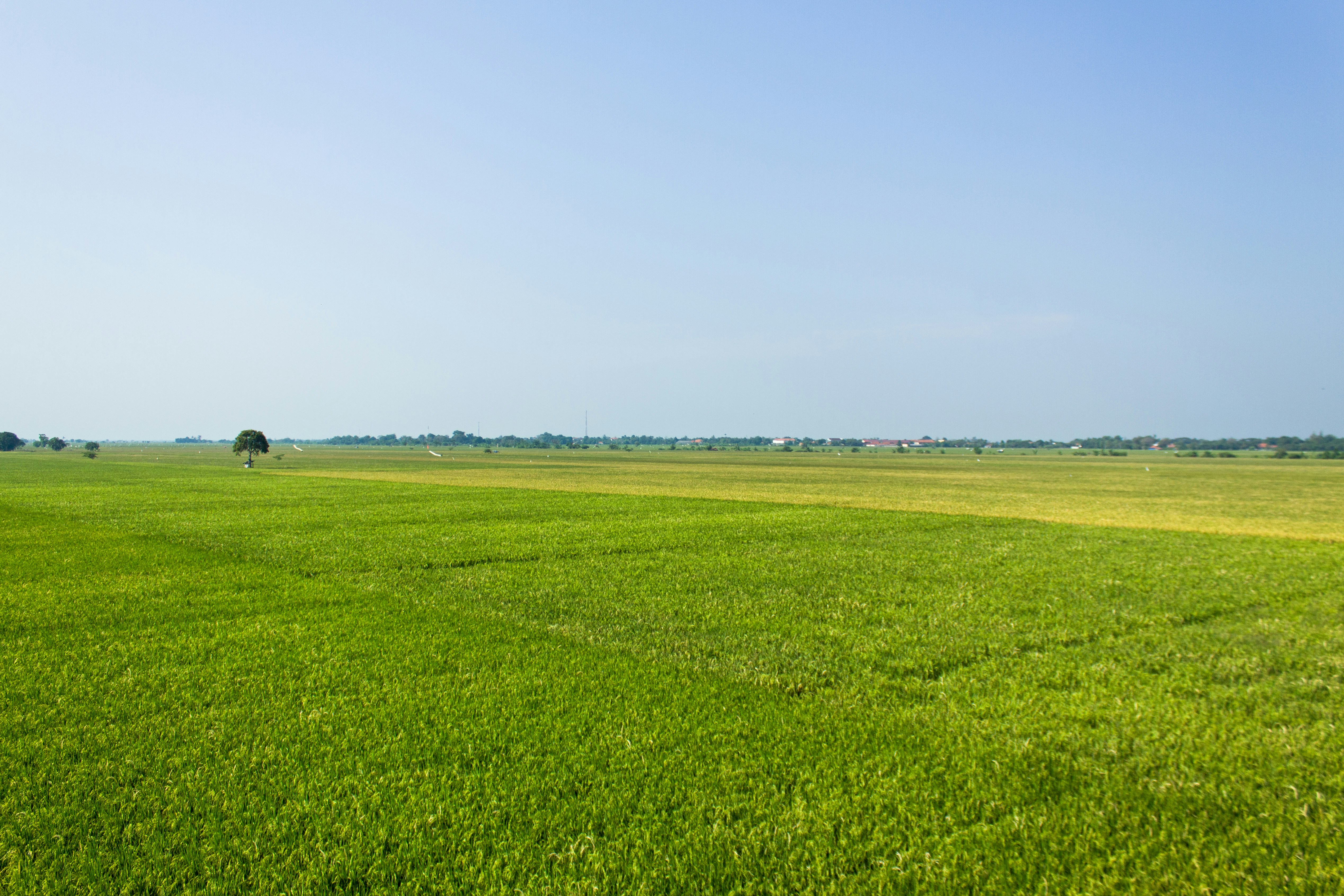 Photo by muhammadriz__