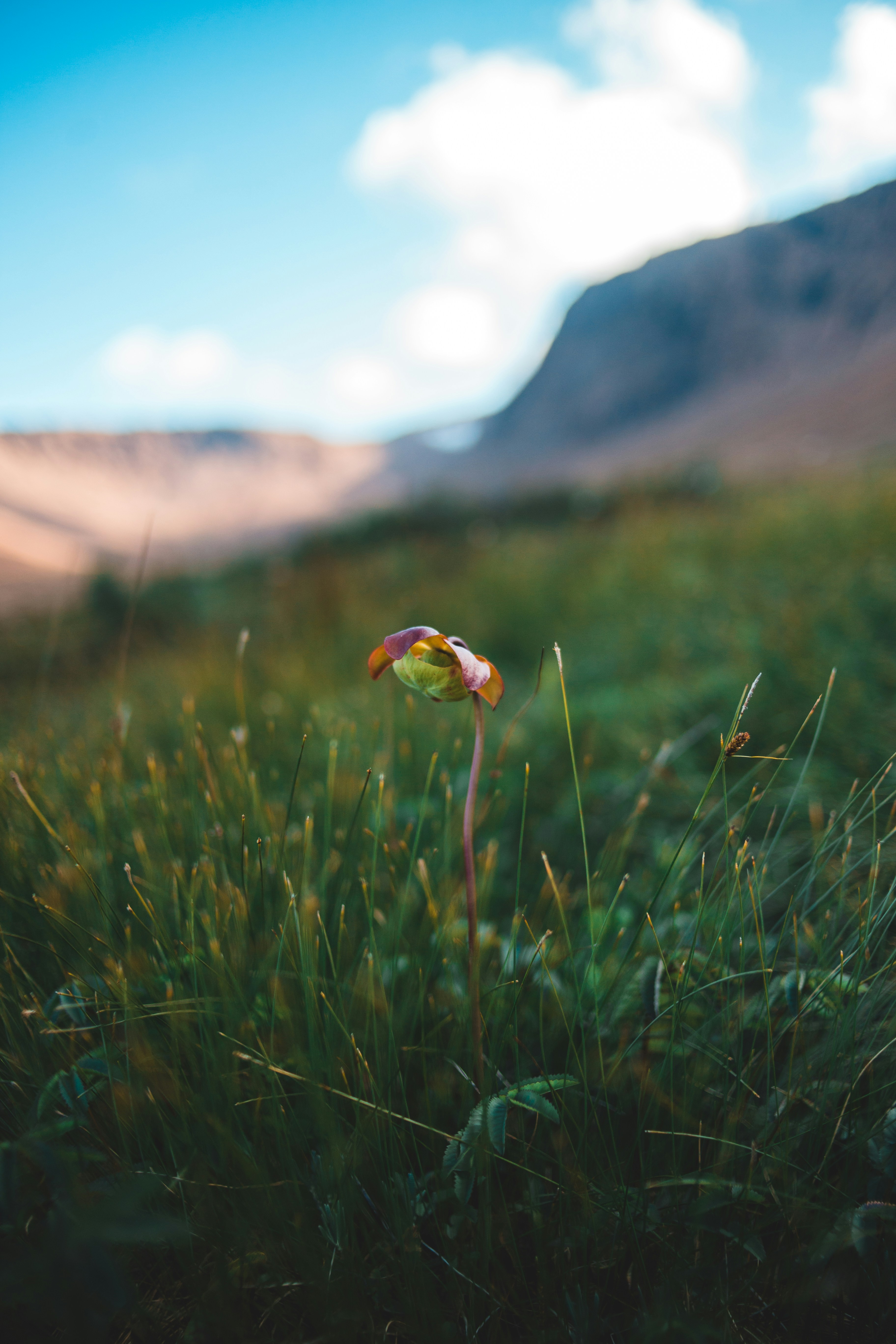 Photo by introspectivedsgn