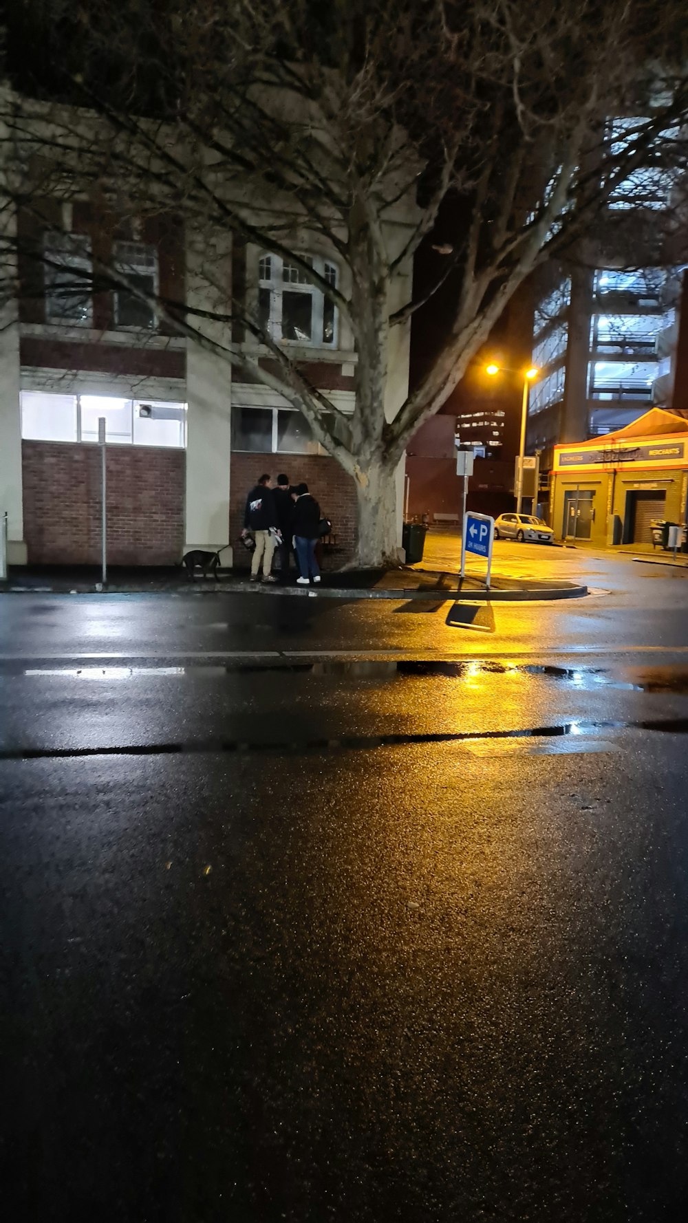 people walking on sidewalk during night time