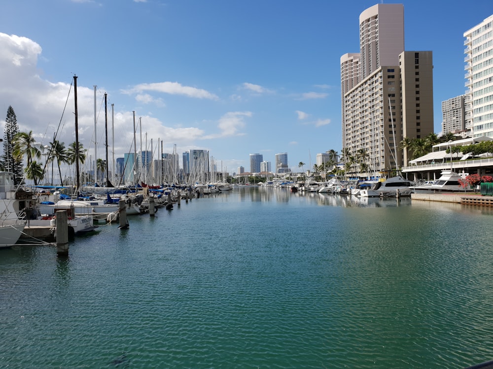 white and blue boats on sea near city buildings under blue sky during daytime