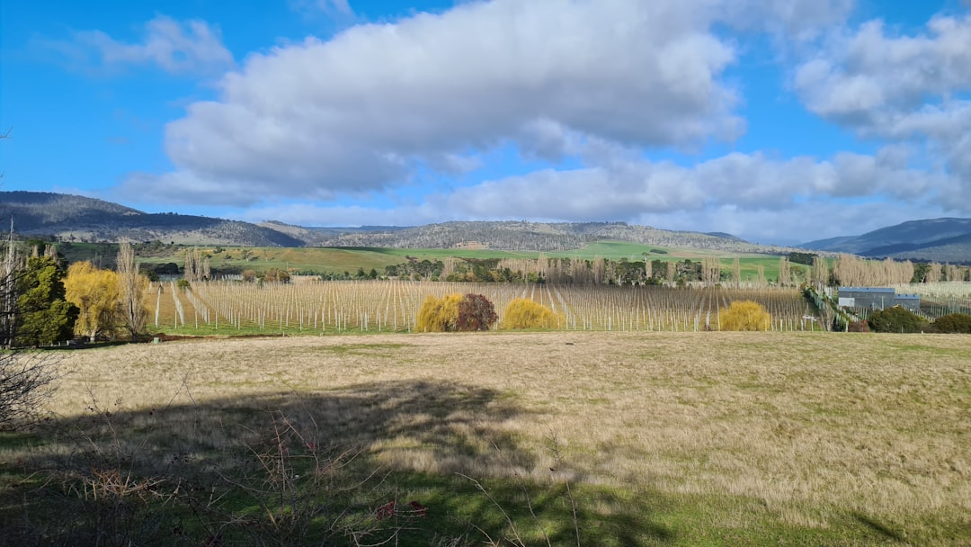 photo of Bushy Park TAS Plain near Russell Falls Creek