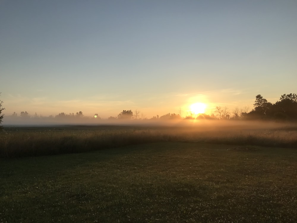 green grass field during sunset