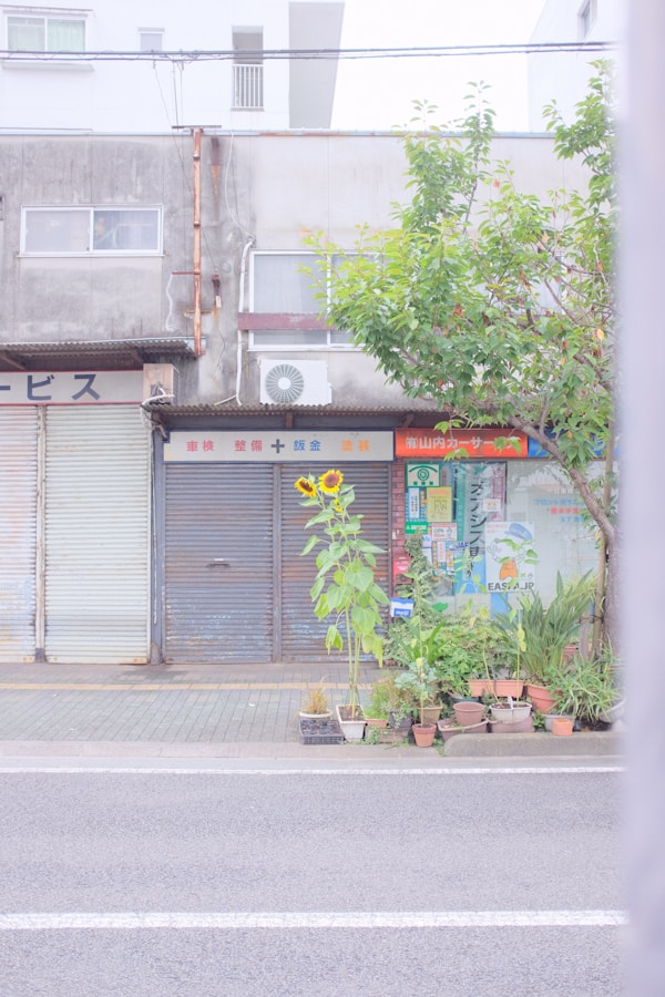 Matsuyama's Local Cuisine: Dishes, Restaurants & Traditional Recipes