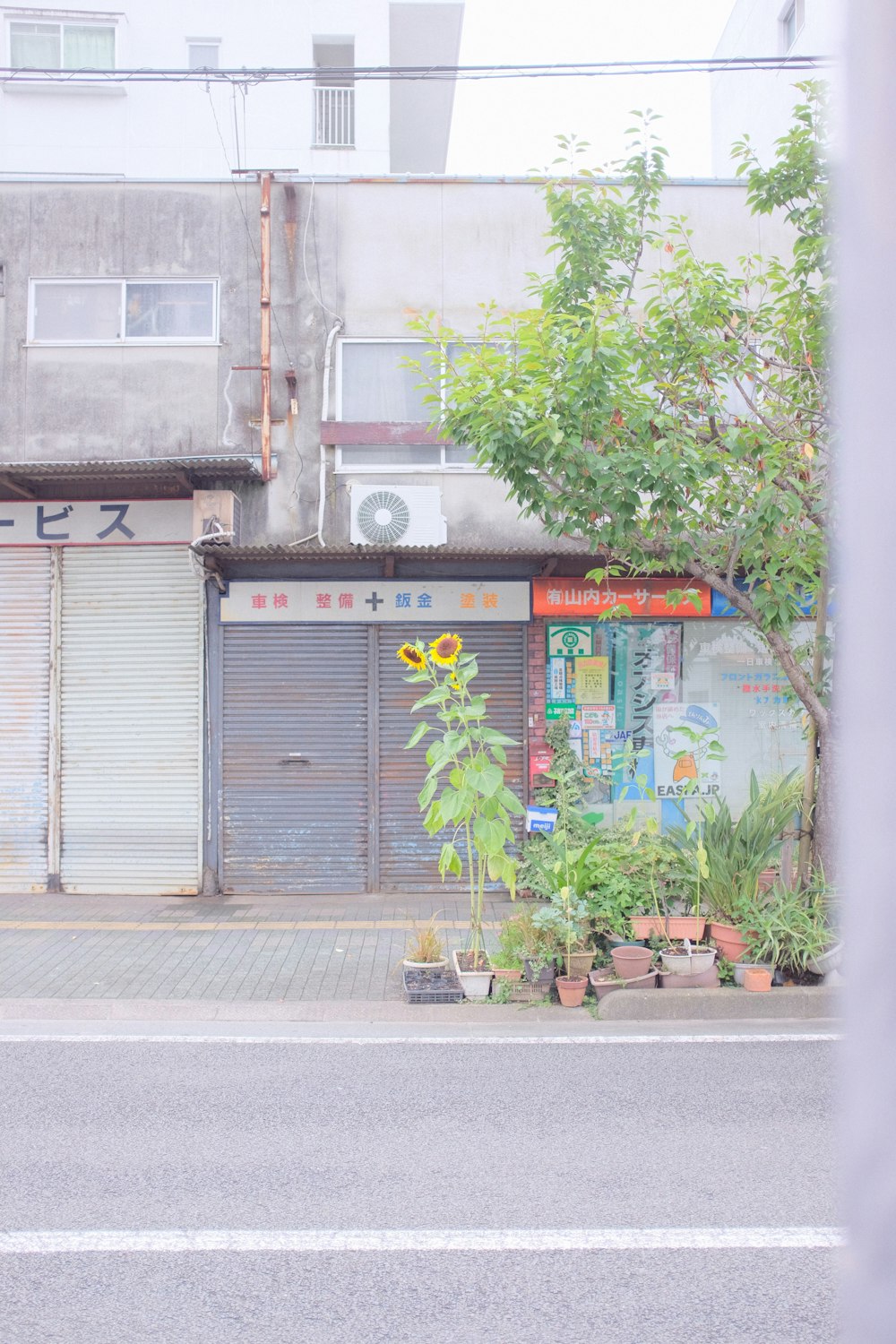 Plantas verdes en la puerta de acero gris durante el día