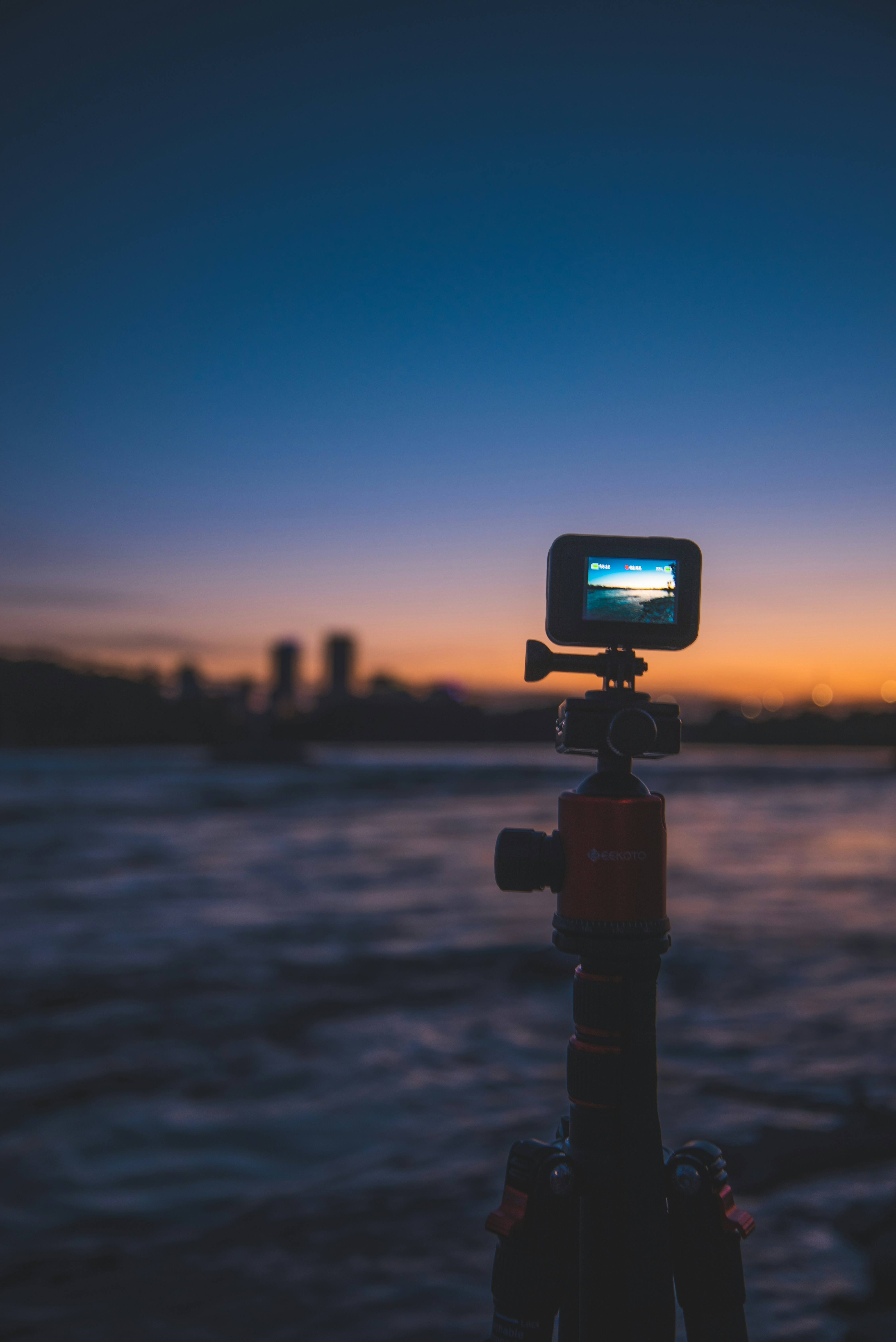 Photo by ryunosuke_kikuno