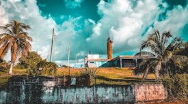 An industrial building stands amidst lush green landscapes, with tall palm trees on either side. The sky is filled with dramatic, cumulus clouds that add depth to the scene. Electrical poles and wires are visible, adding an element of urban infrastructure. The structure is partially obscured by greenery, indicating a blend of nature and industrial elements.