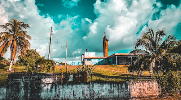 An industrial building stands amidst lush green landscapes, with tall palm trees on either side. The sky is filled with dramatic, cumulus clouds that add depth to the scene. Electrical poles and wires are visible, adding an element of urban infrastructure. The structure is partially obscured by greenery, indicating a blend of nature and industrial elements.