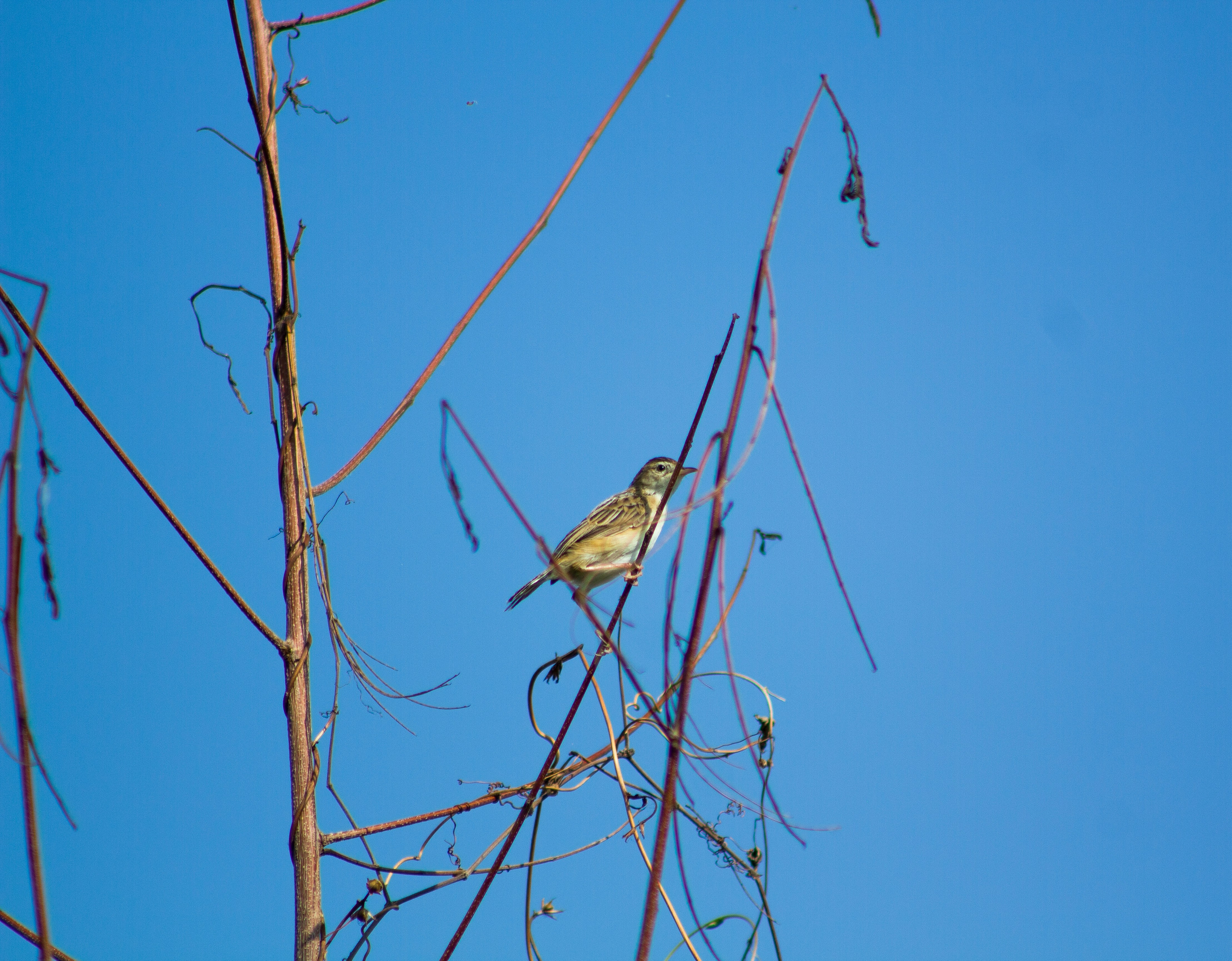 Photo by muhammadriz__