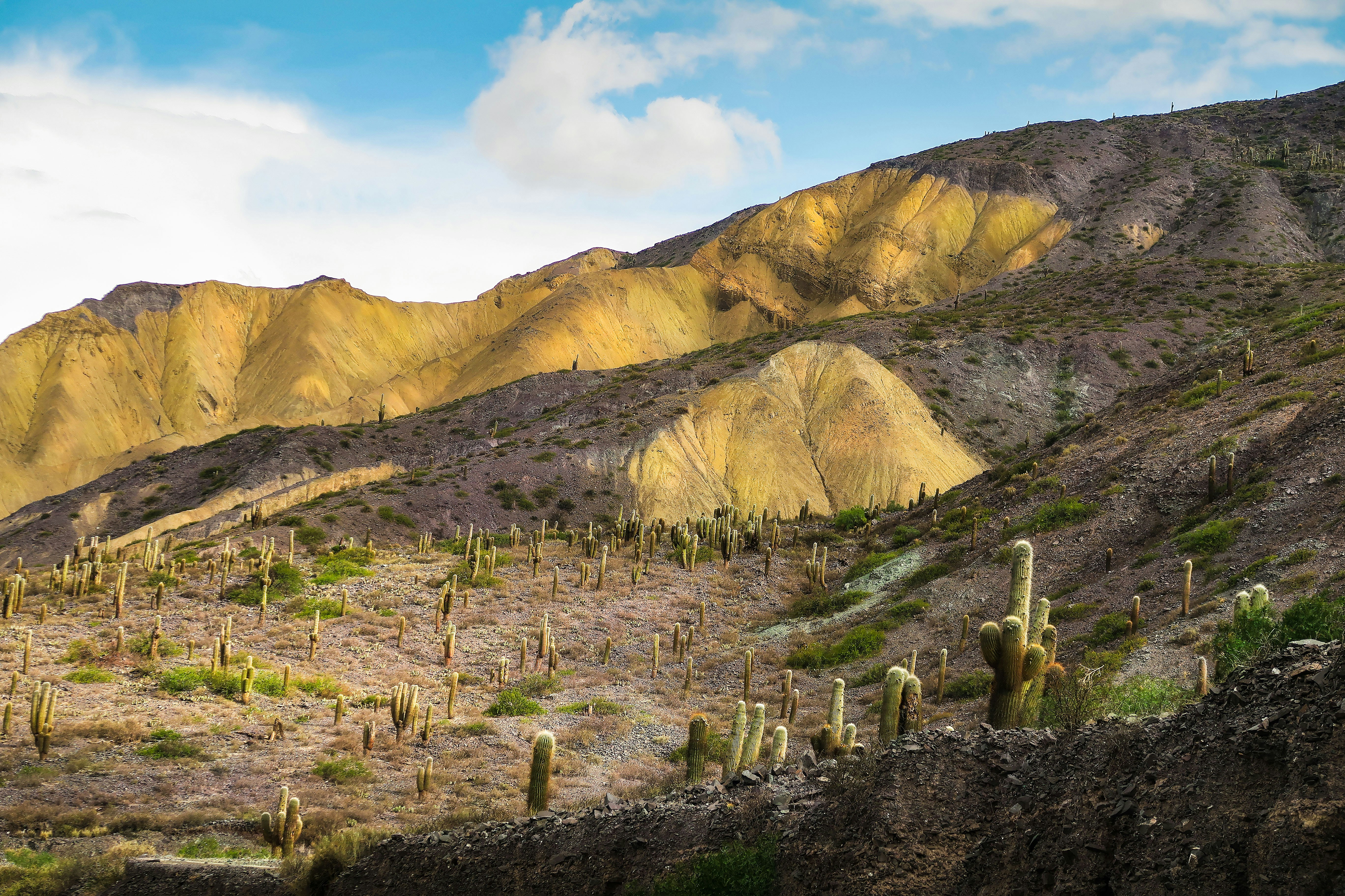 Photo by argentinanatural