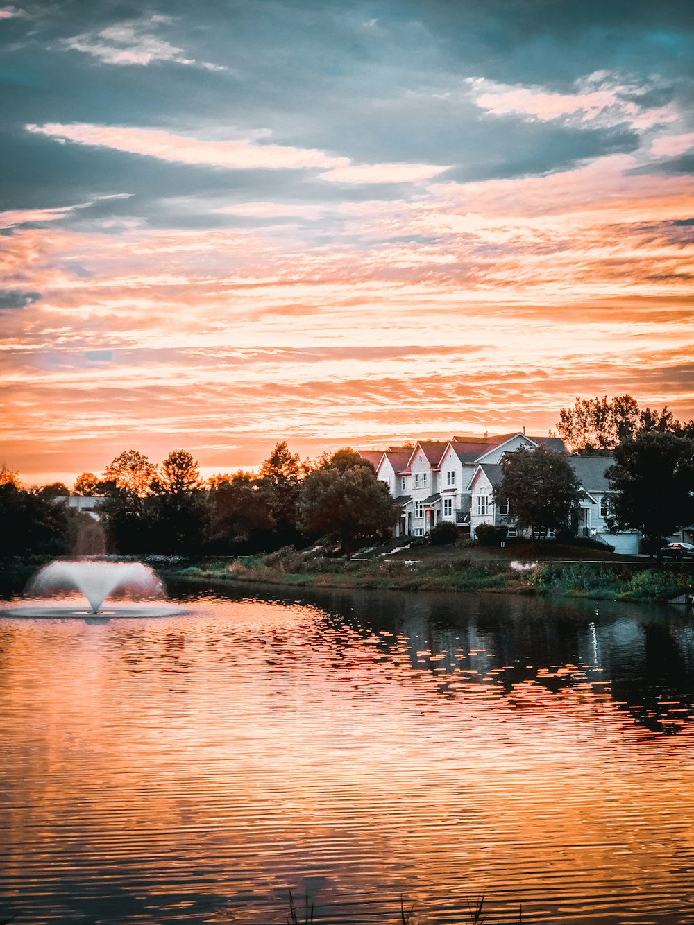 green grass field near body of water during sunset