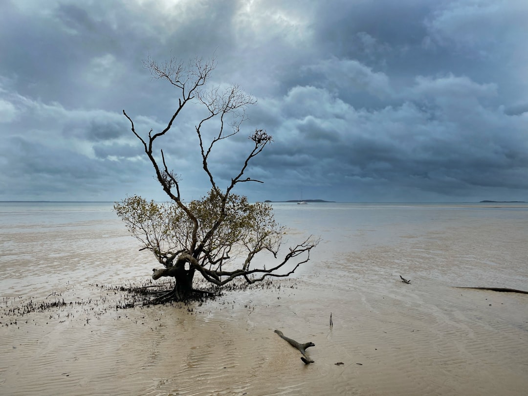 Shore photo spot Fraser Coast Fraser Island