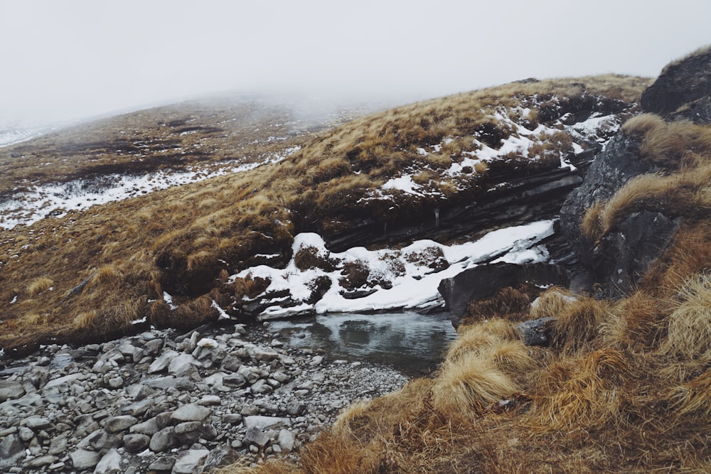 brown and gray rocks on river