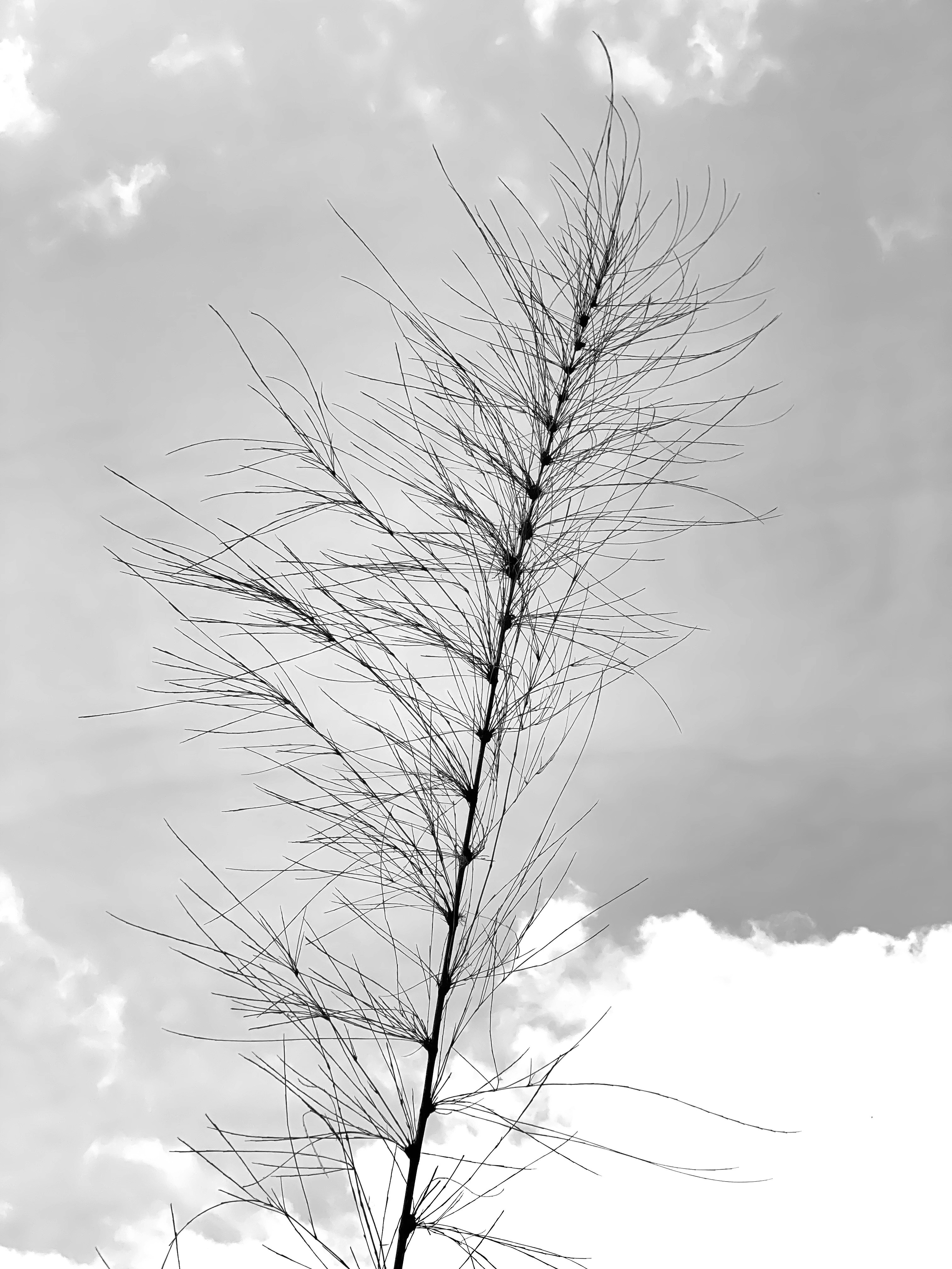 Photo by jacki_drexler