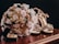 A detailed wedding-themed arrangement featuring a bouquet of artificial roses and pearls placed on a polished wooden surface. Nearby, a pair of elegant high-heeled shoes adorned with gemstones and an open jewelry box containing a ring are visible.
