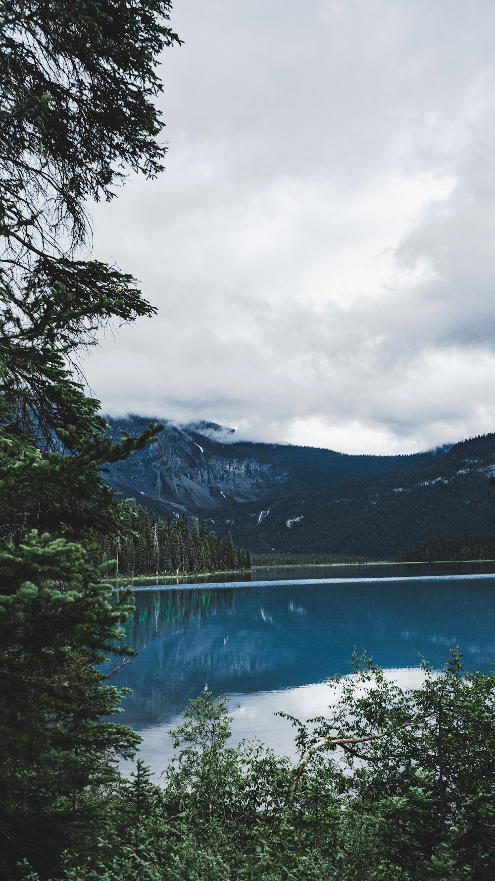 green trees near lake under cloudy sky during daytime