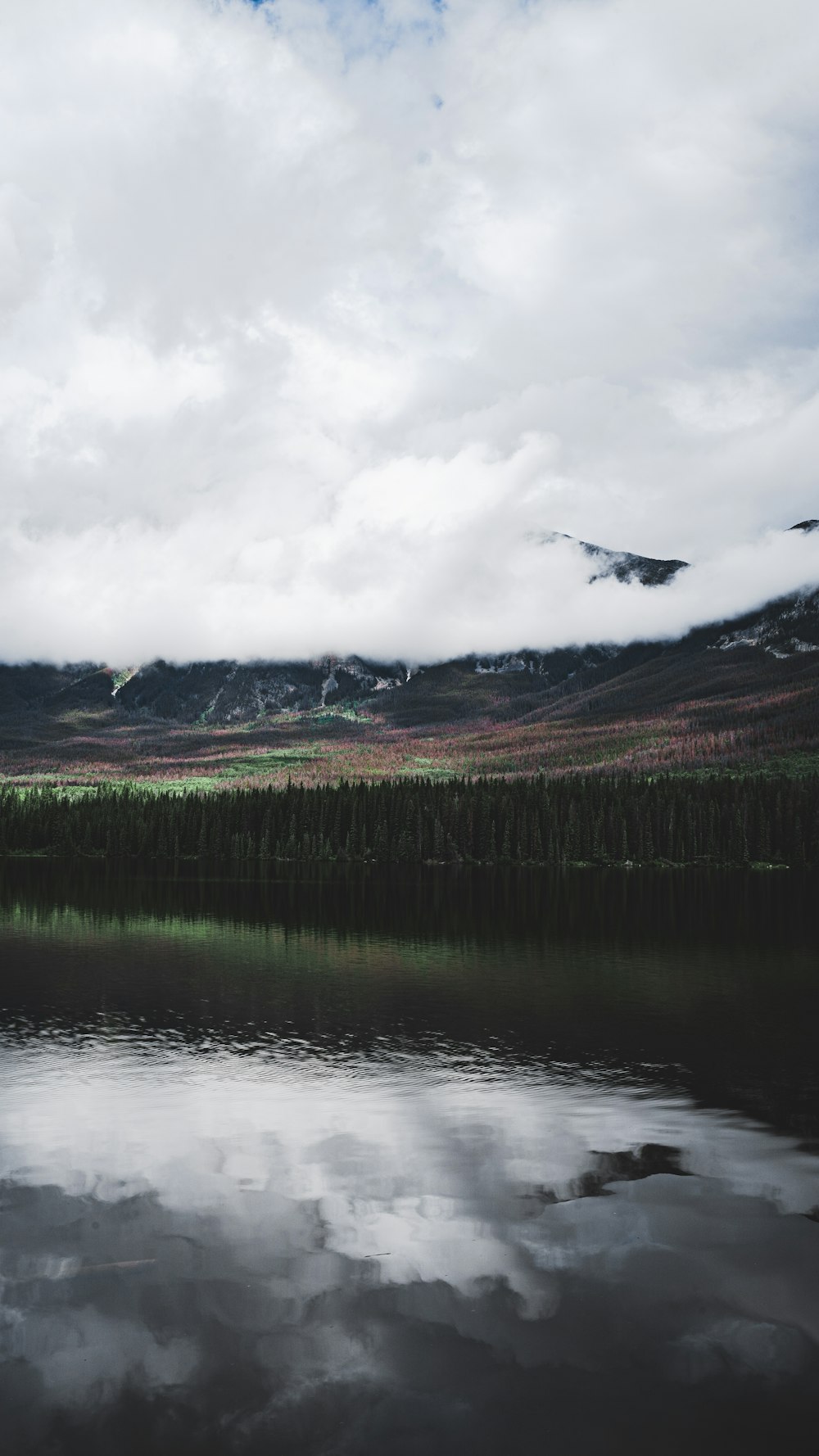 green grass field near lake under white clouds during daytime