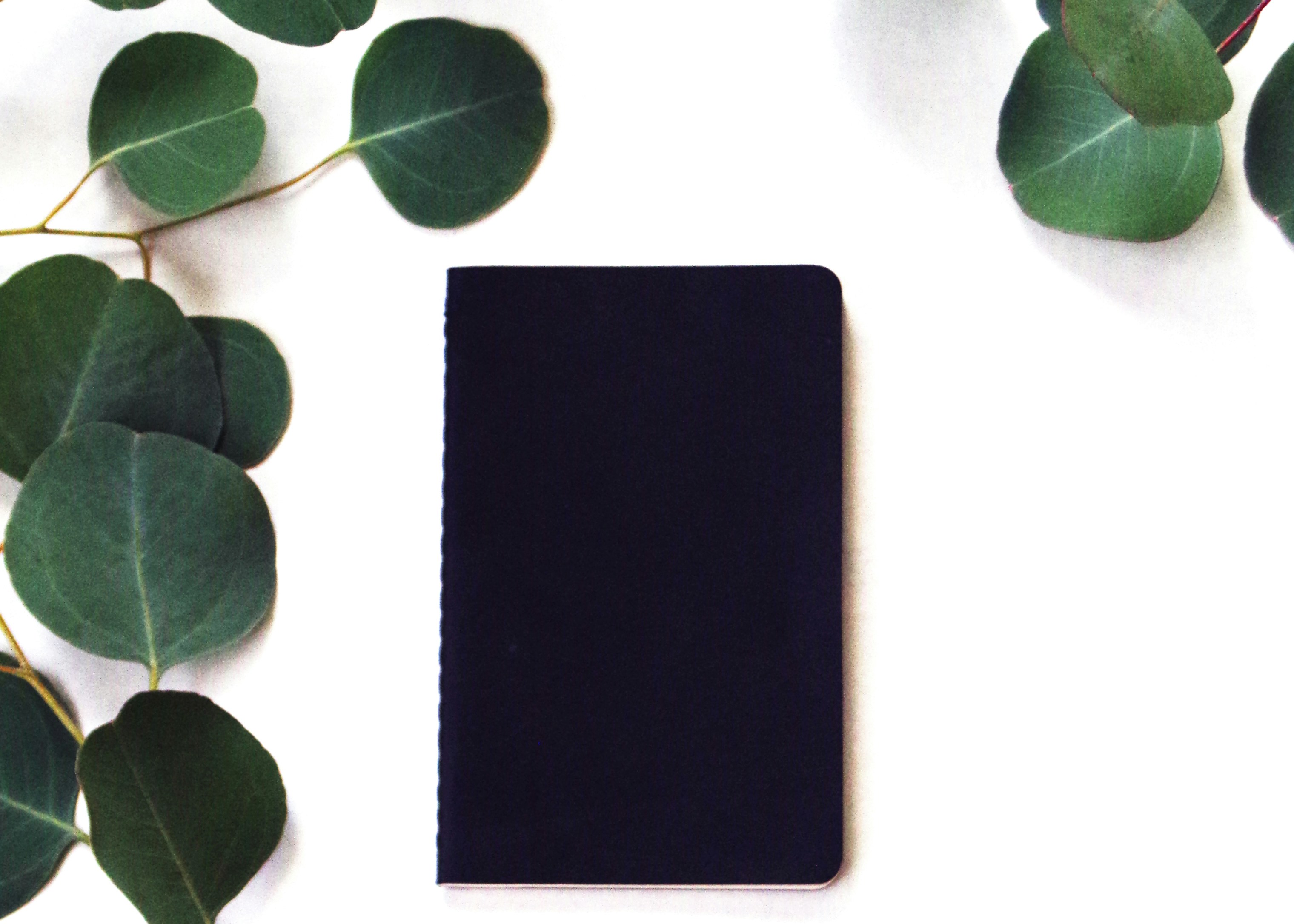 Photo by valkyriepierce