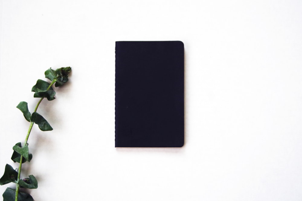 black rectangular board beside green plant