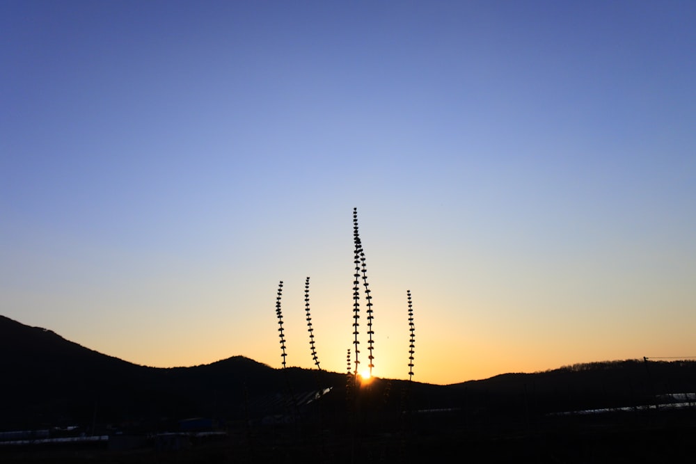 silhouette of tower during sunset