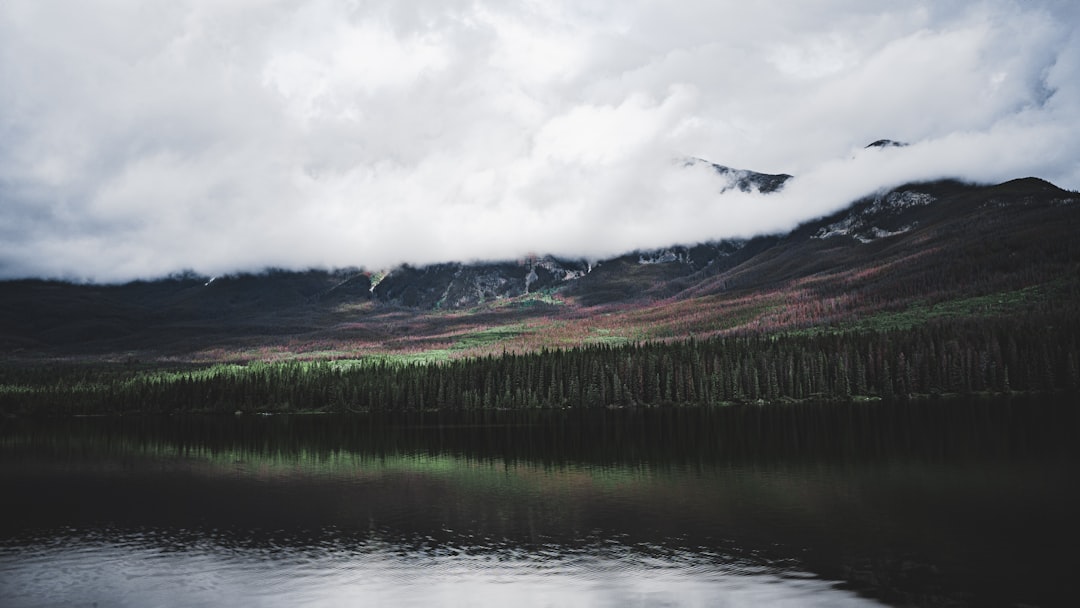 green grass field near lake under white clouds during daytime