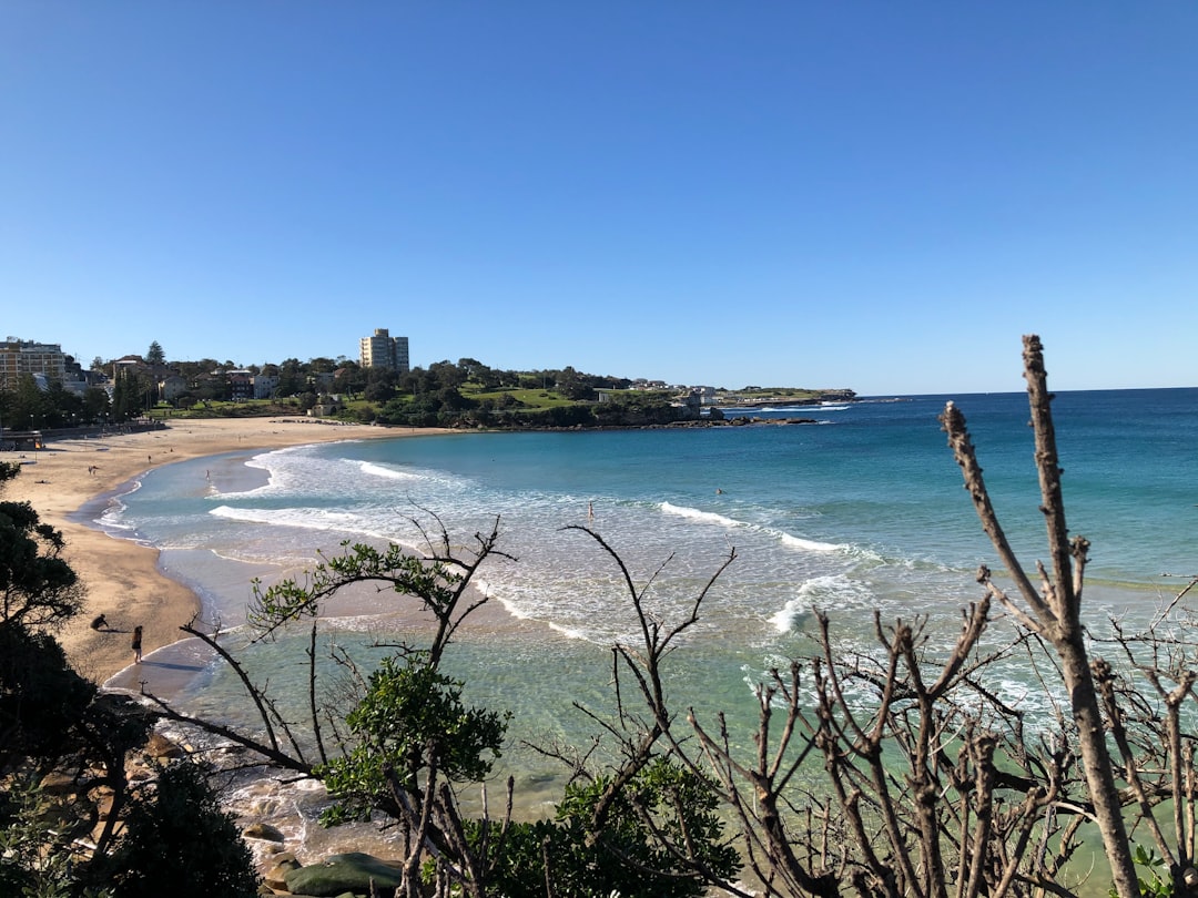 Beach photo spot Goldstein Reserve Tamarama Beach