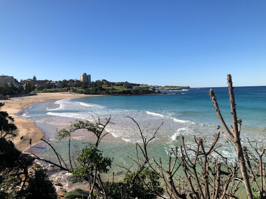 Goldstein Reserve things to do in Coogee