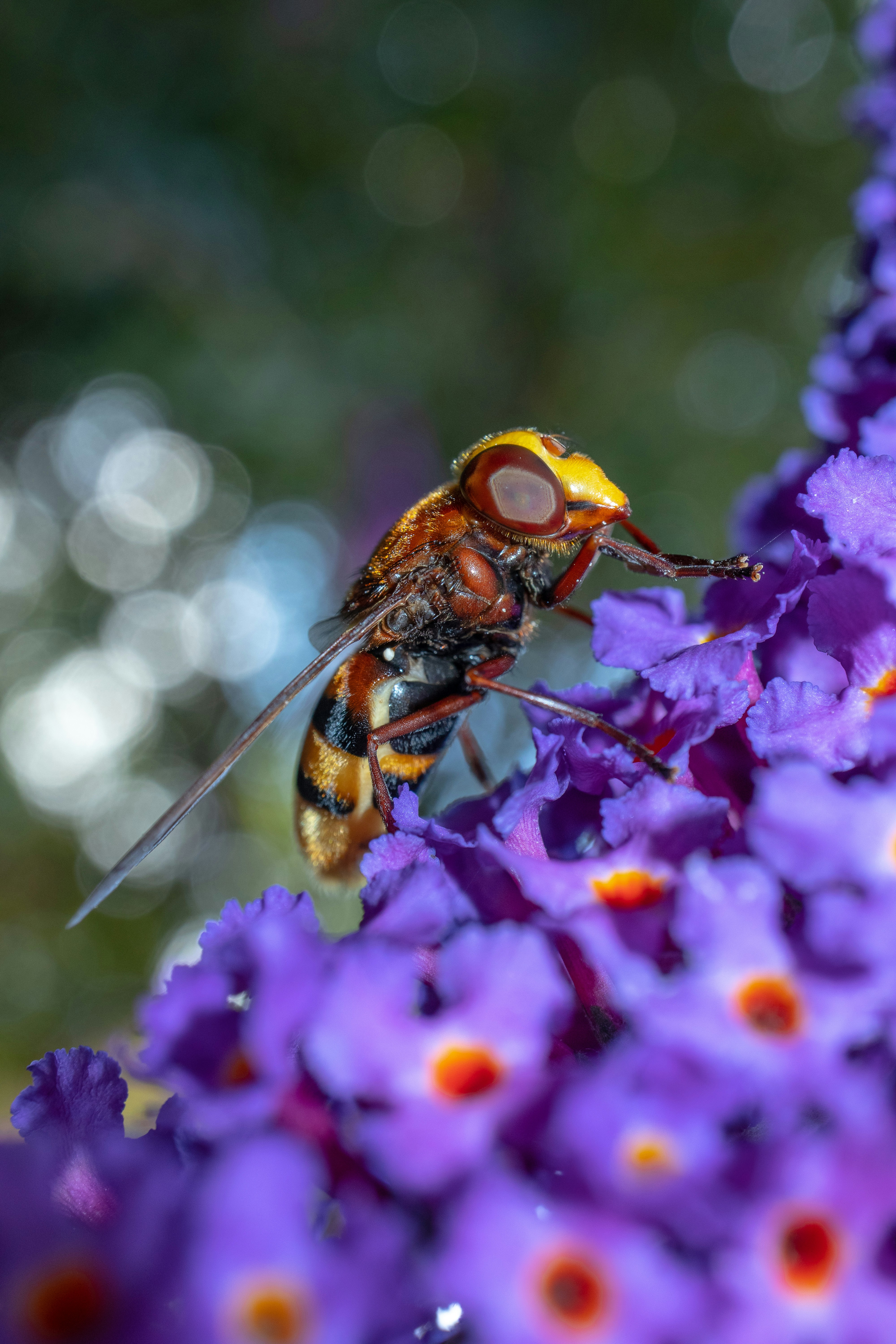 Photo by grievek1610begur