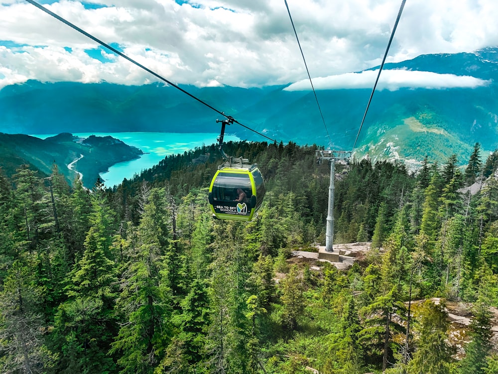 green and black cable car over green pine trees under blue sky during daytime