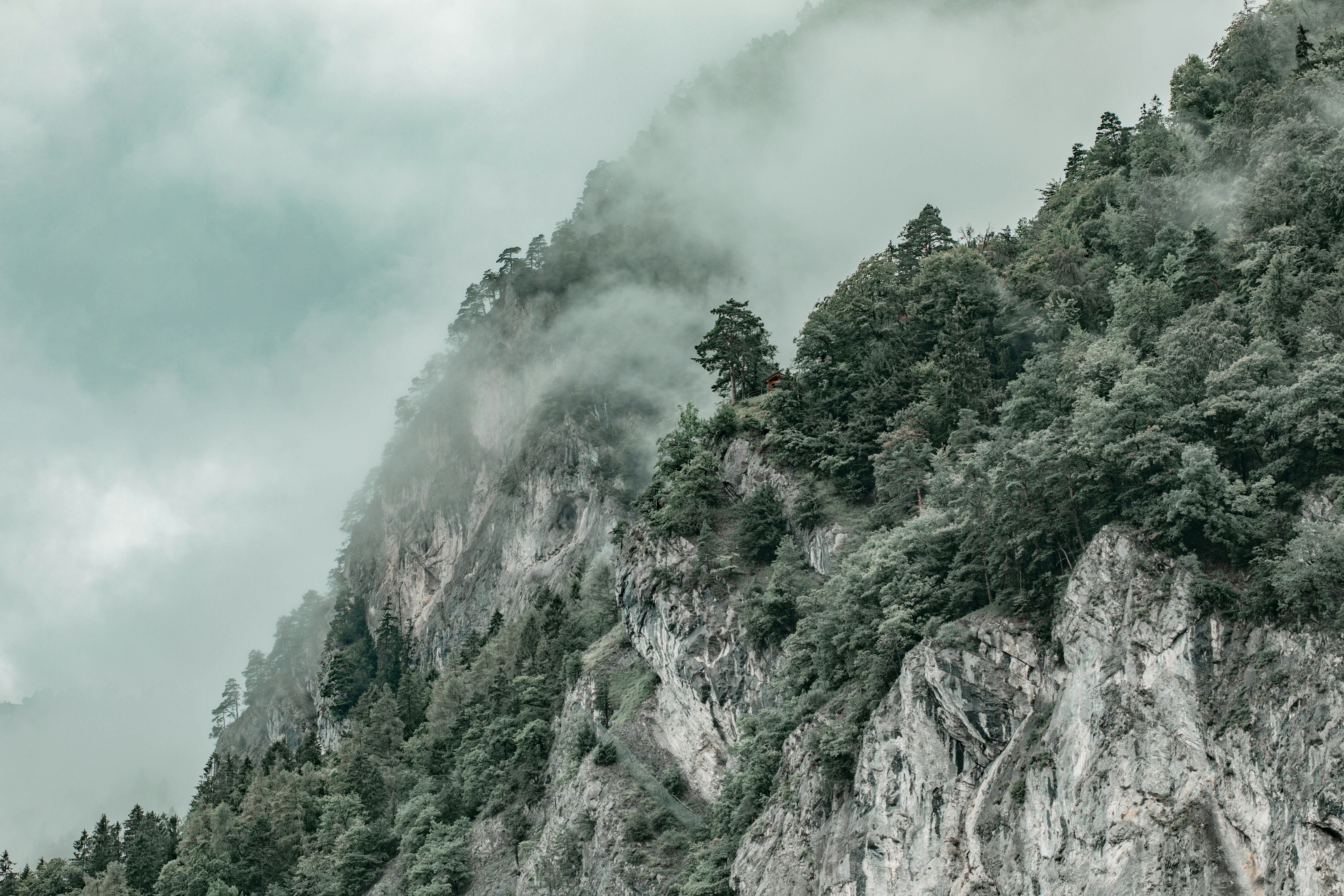 Photo by nina_mercado