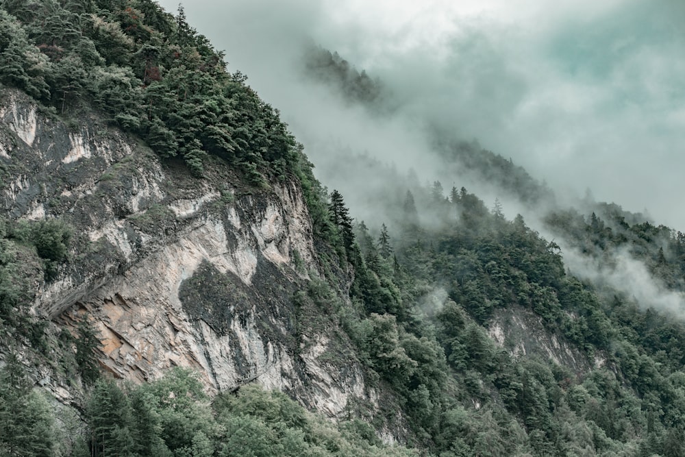 green trees on mountain under white clouds during daytime