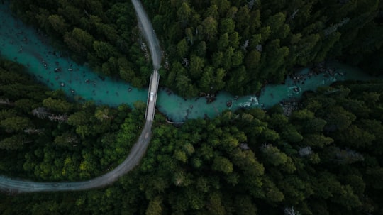 aerial view of green trees and river in Kitimat Canada