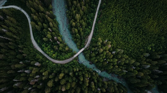 aerial view of green trees and river in Kitimat Canada