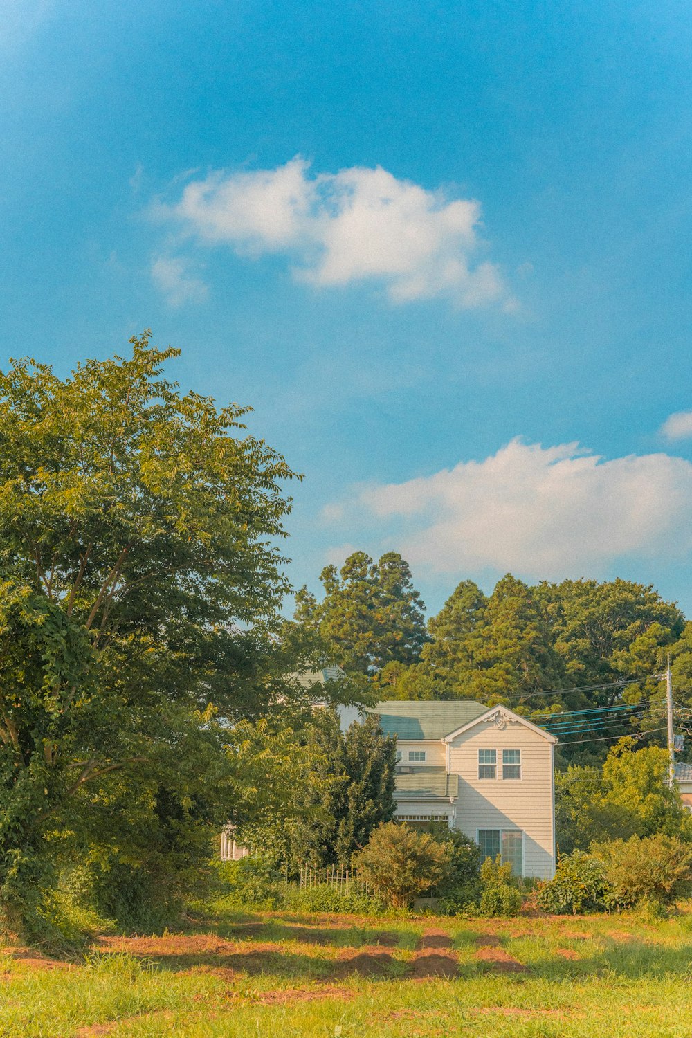 green trees near white concrete building during daytime