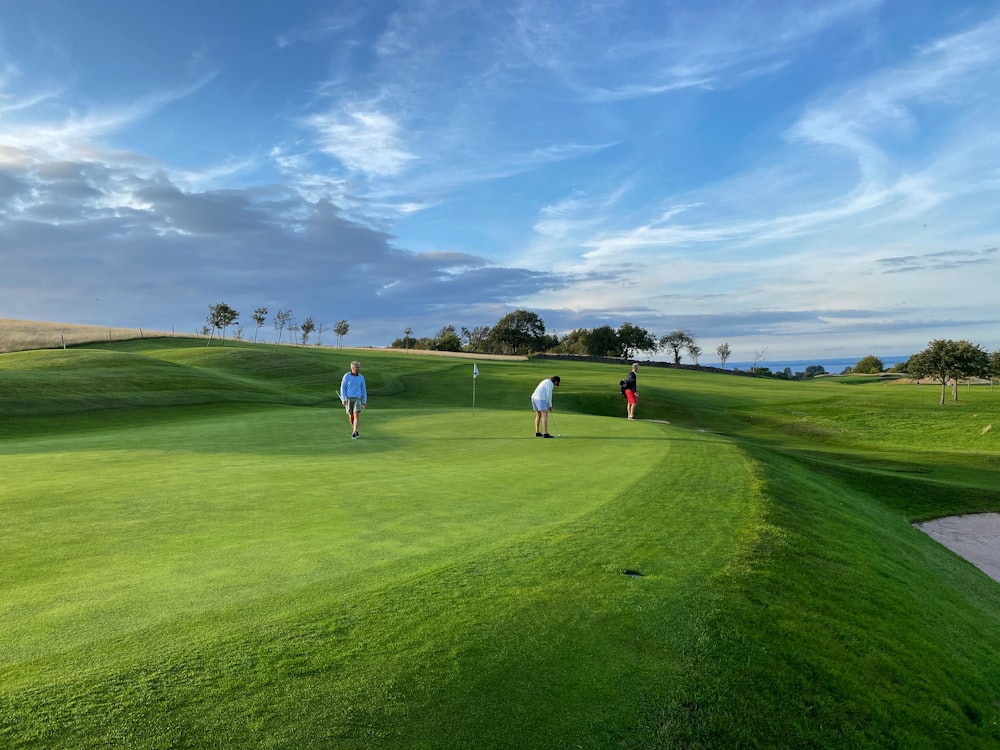 people playing golf on green grass field during daytime