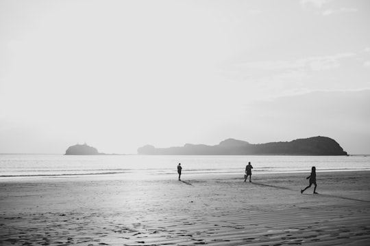 grayscale photo of 2 people walking on beach in Cape Hillsborough Australia