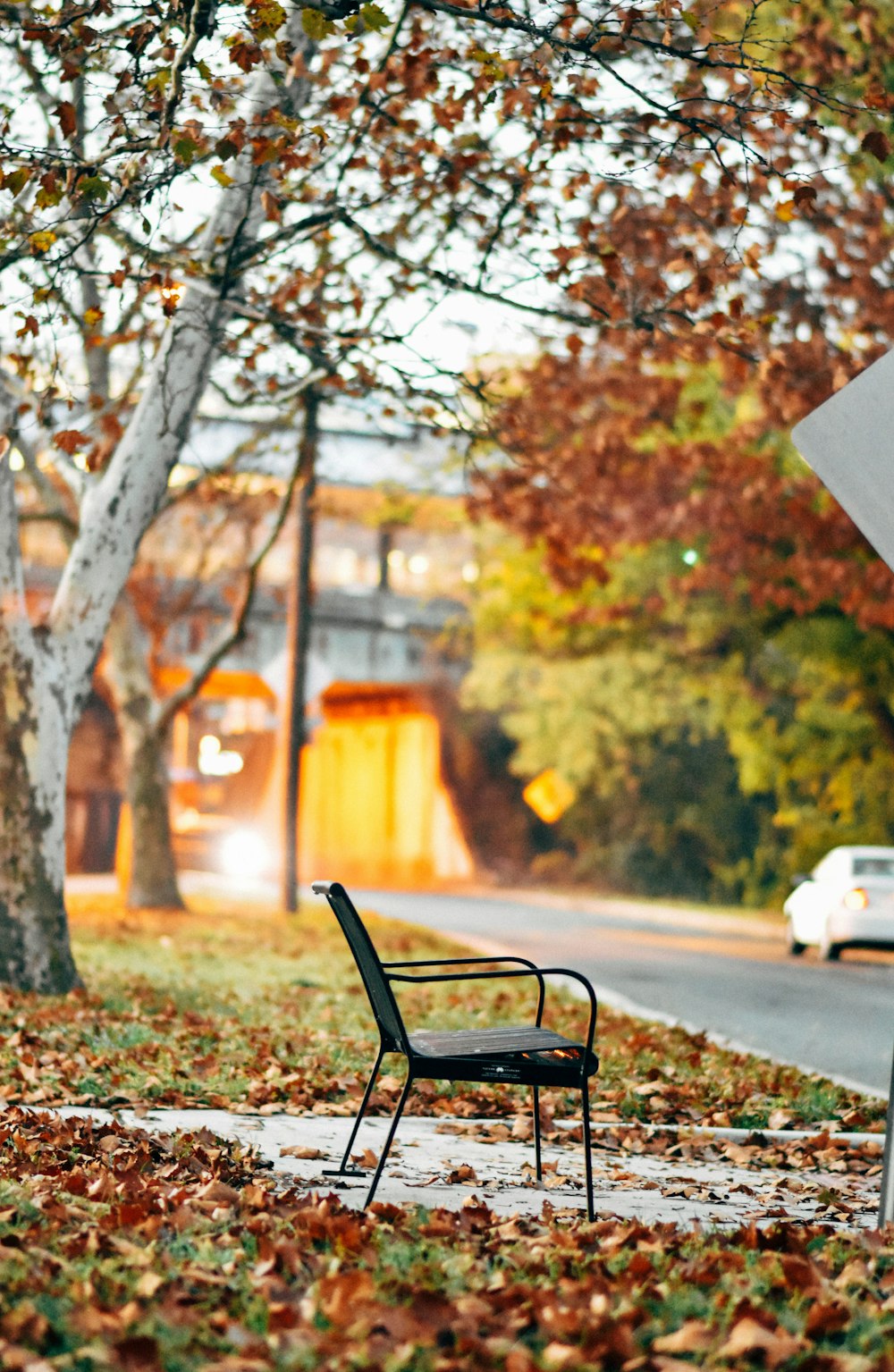 black metal bench near trees during daytime