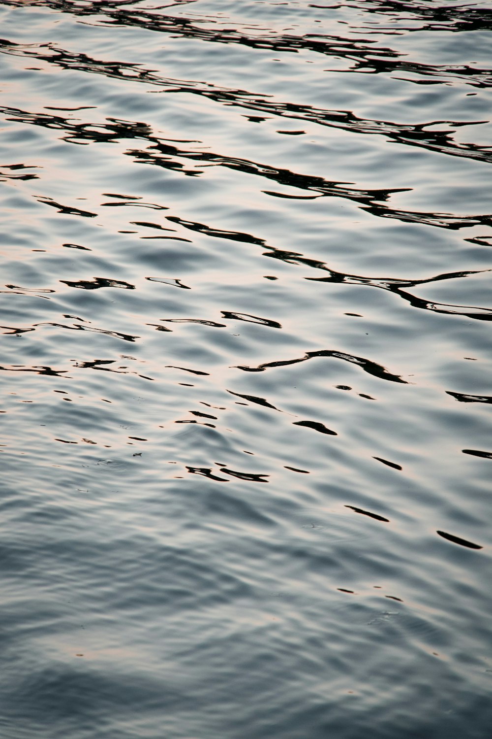 specchio d'acqua durante il giorno