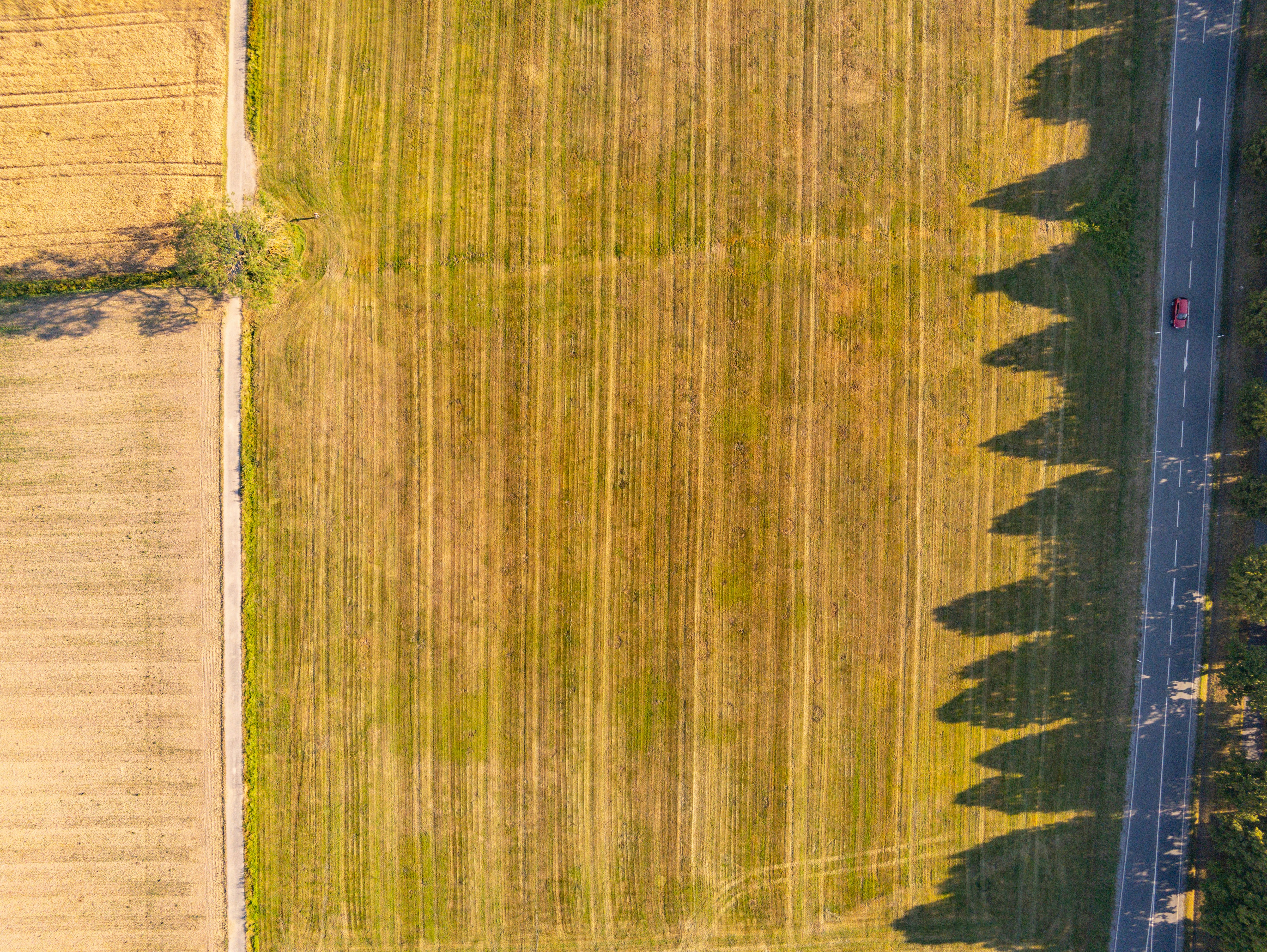 Photo by julianhochgesang