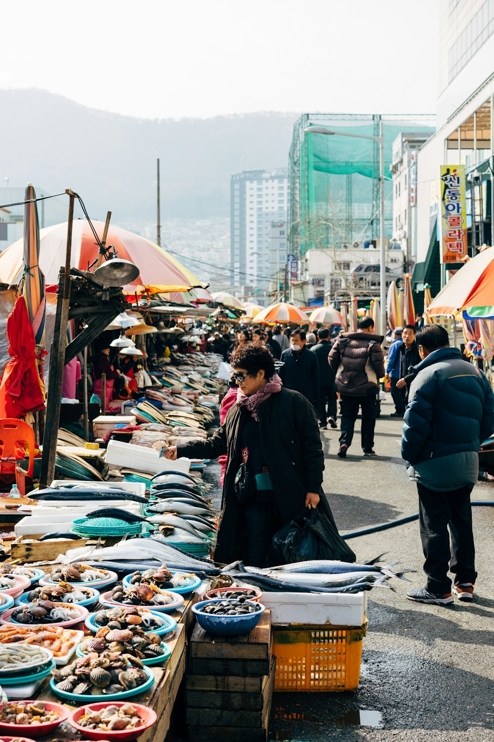 people walking on street during daytime