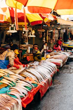 A vibrant community market showcasing colorful ornamental fish and local entrepreneurs in Ciseeng village.