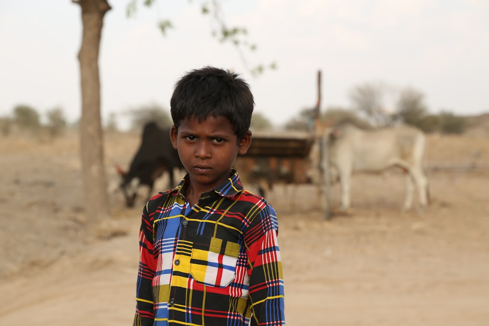 a young boy standing in front of a herd of cattle