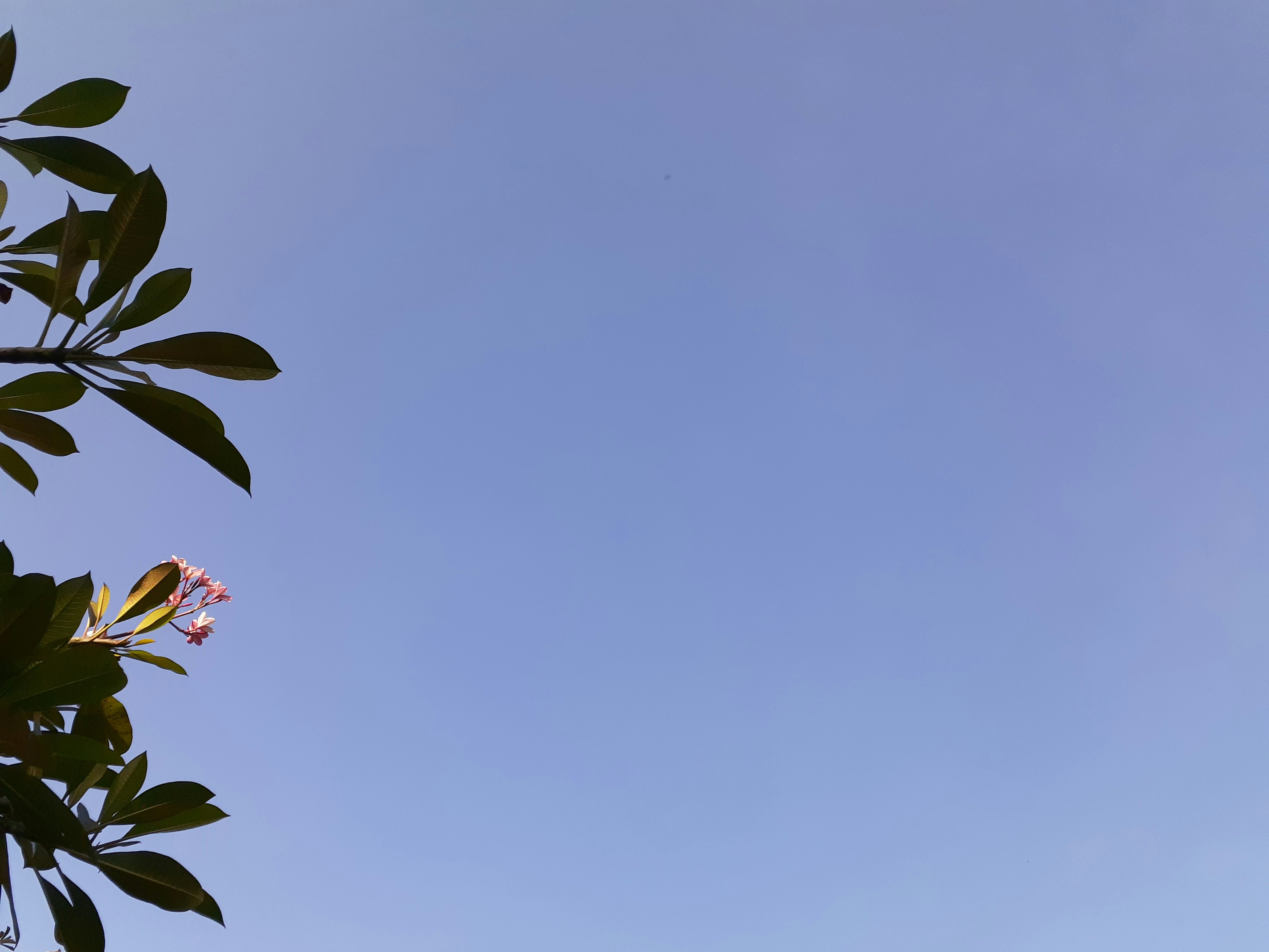 Photo by lucky_alamanda