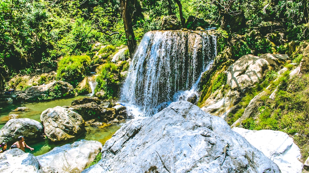 water falls in the middle of the forest