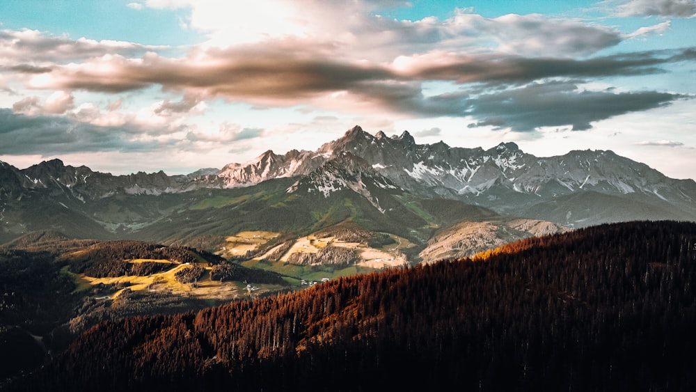 green trees near snow covered mountain during daytime