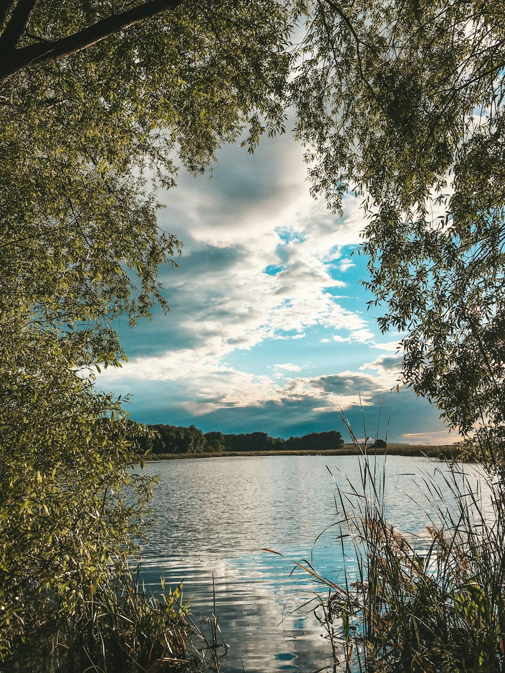 green trees beside body of water under blue and white cloudy sky during daytime