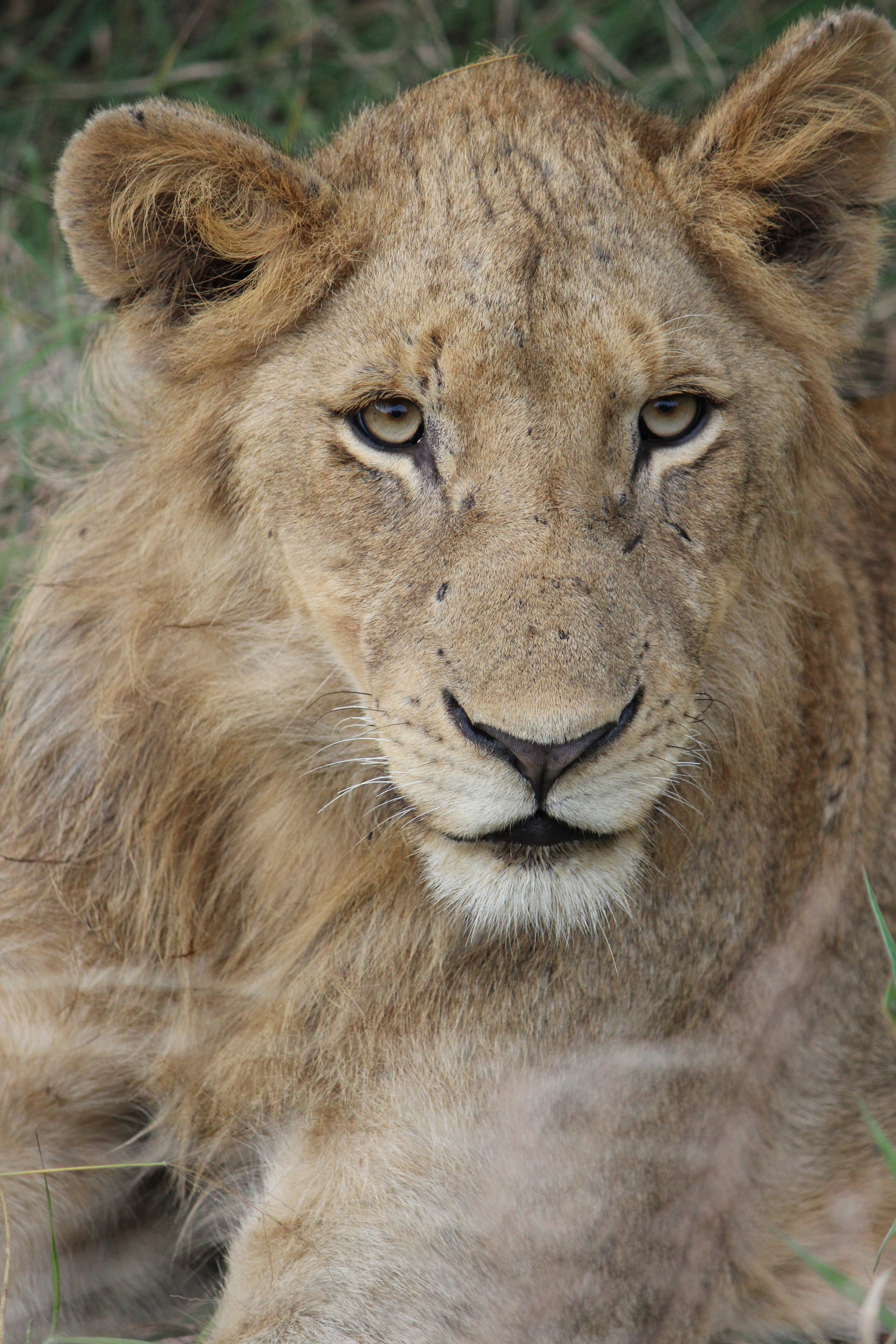 Photo by karinpetersen