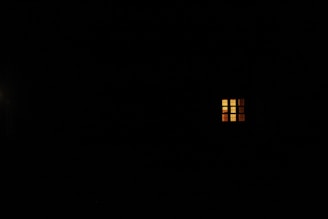 white and black house illustration